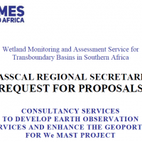 Consultancy for the development of Earth Observation Services