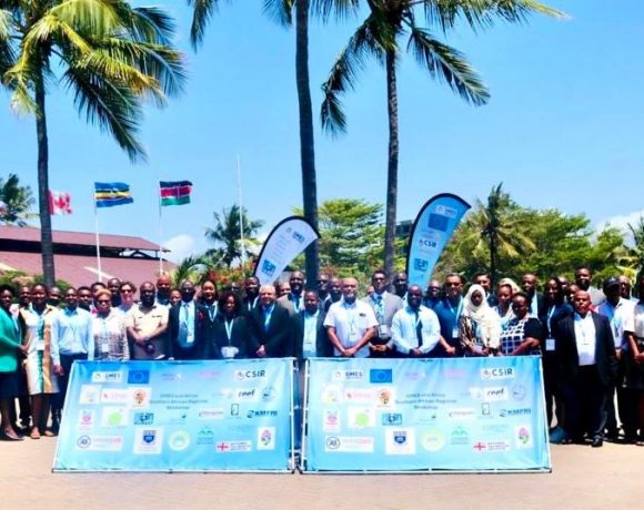 GMES & Africa Southern Africa Workshop prioritizes Earth Observation in pursuit of Africa Agenda 2063