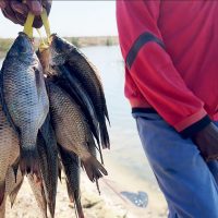 Watching from Above: How Earth Observation Data is Transforming Wetlands Management and Boosting Economic Development in Southern Africa