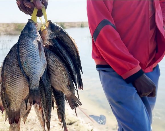 Watching from Above: How Earth Observation Data is Transforming Wetlands Management and Boosting Economic Development in Southern Africa