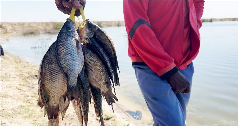 Watching from Above: How Earth Observation Data is Transforming Wetlands Management and Boosting Economic Development in Southern Africa