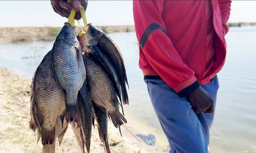 Watching from Above: How Earth Observation Data is Transforming Wetlands Management and Boosting Economic Development in Southern Africa