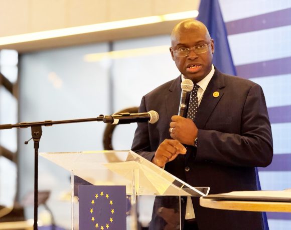 GMES and Africa Programme Now Under African Space Agency